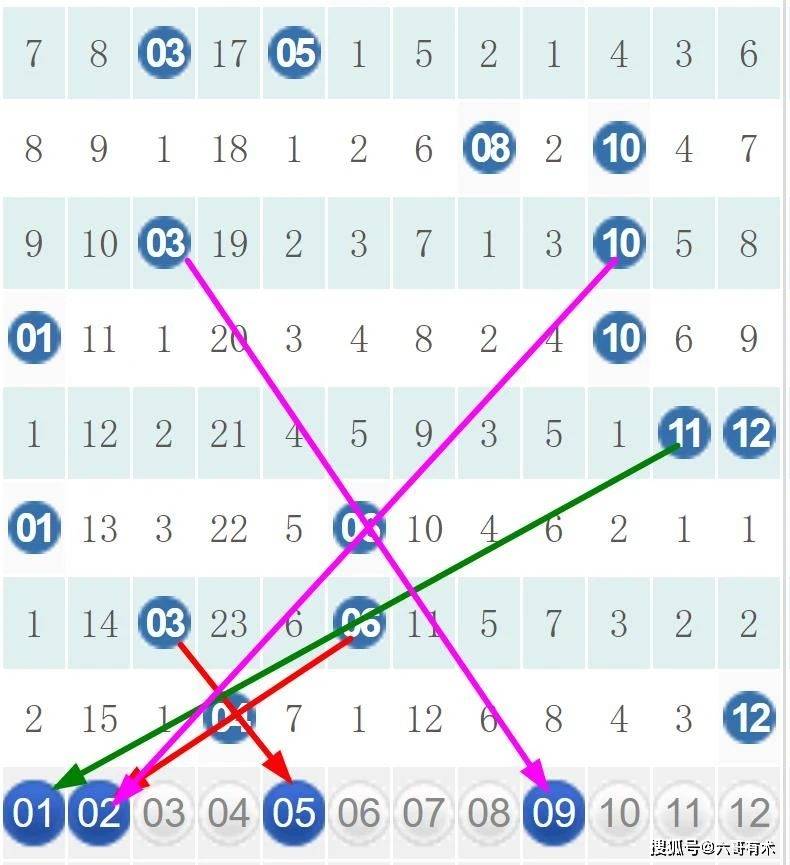 白小姐今晚特马期期准金｜适用计划解析方案