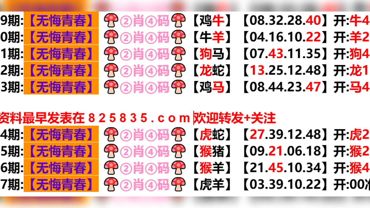 2024年新奥门天天开彩,最佳精选解释落实_AR34.670