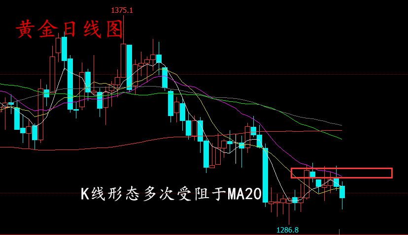 新澳门今晚必开一肖一特,实效性解析解读策略_挑战款42.440