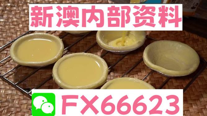 新澳精准资料大全免费,动态调整策略执行_Premium35.170