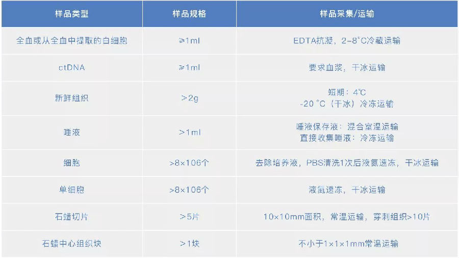 2024新澳正版资料最新更新,绝对经典解释落实_watchOS82.889