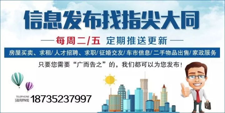 丹灶金沙最新司机招聘信息解读与动态速递