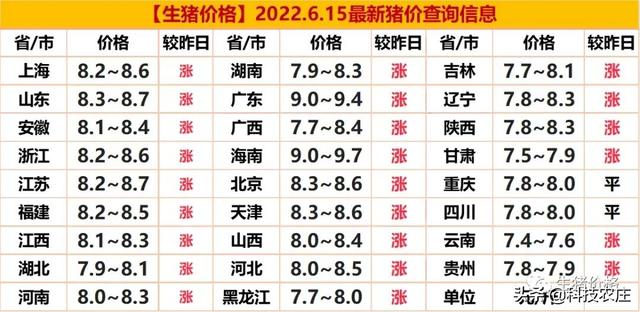 海阳猪价最新涨跌趋势分析