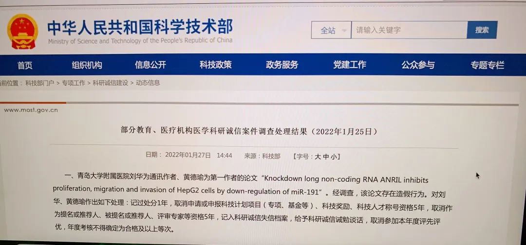 周惠安最新处理结果及其后续影响分析